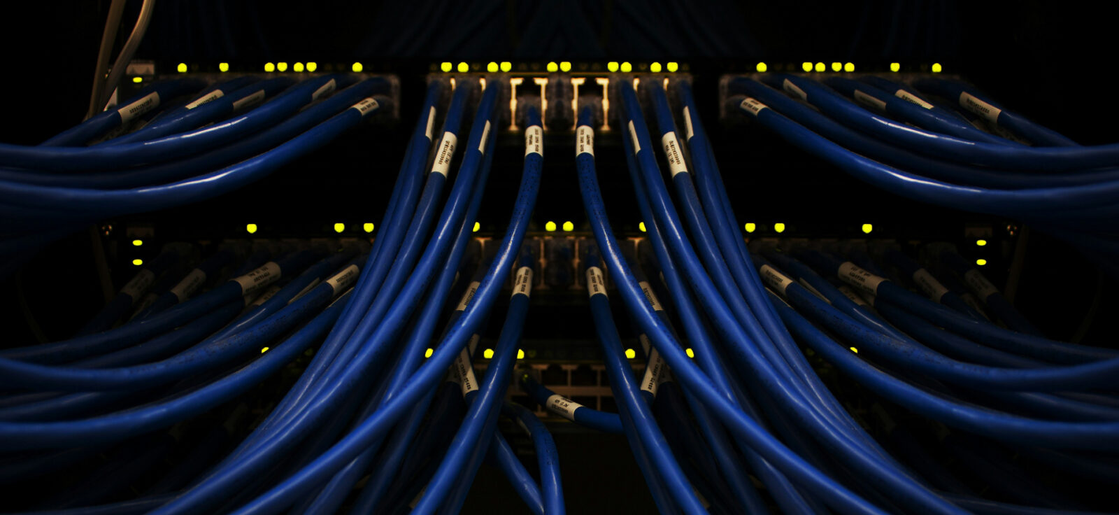 plan rapproché de câbles ethernet bleus branchés dans une baie