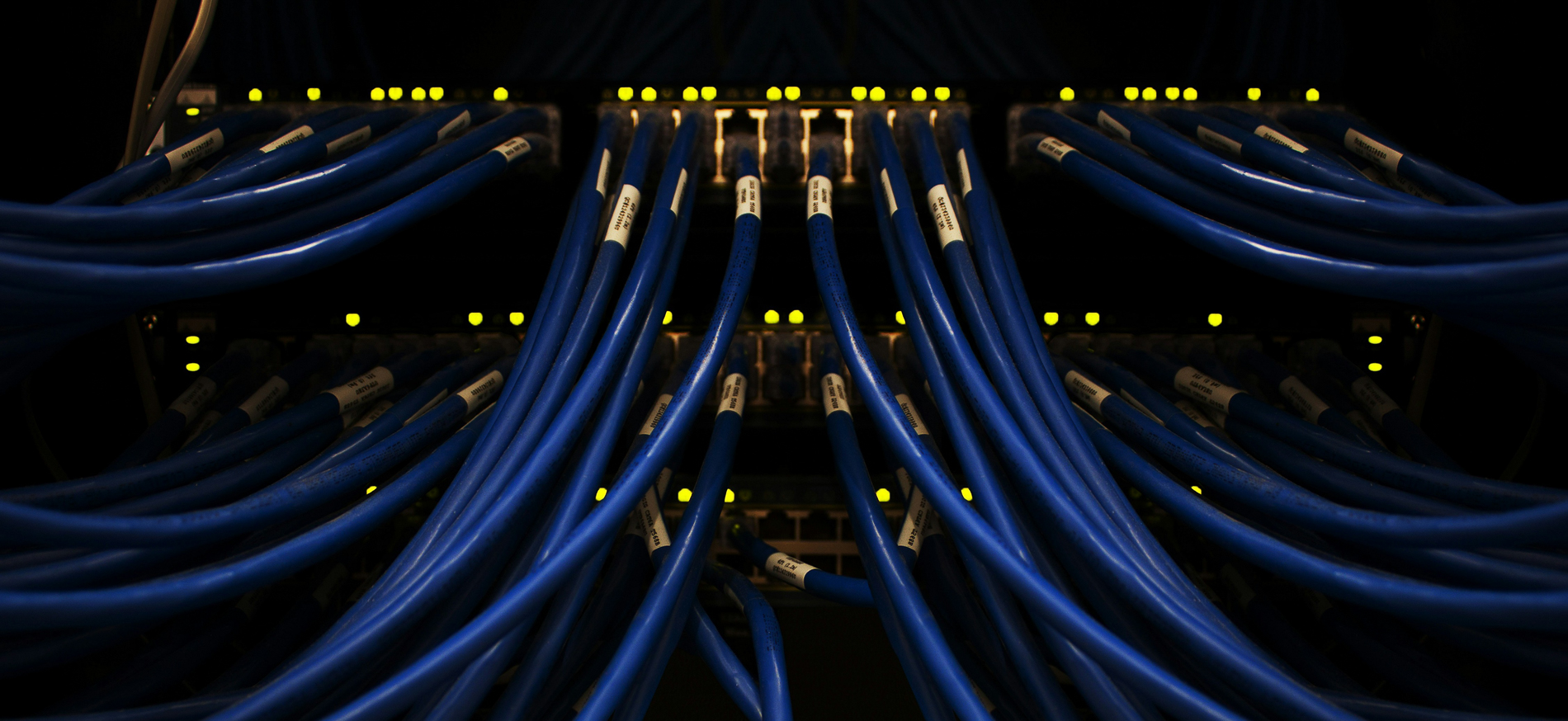 plan rapproché de câbles ethernet bleus branchés dans une baie