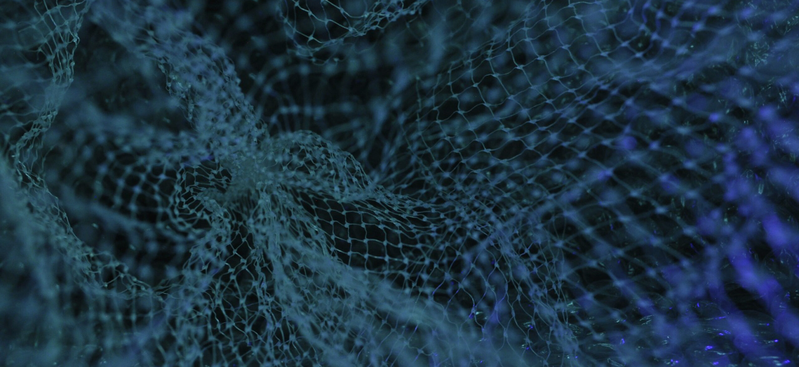 maillage abstrait de réseau