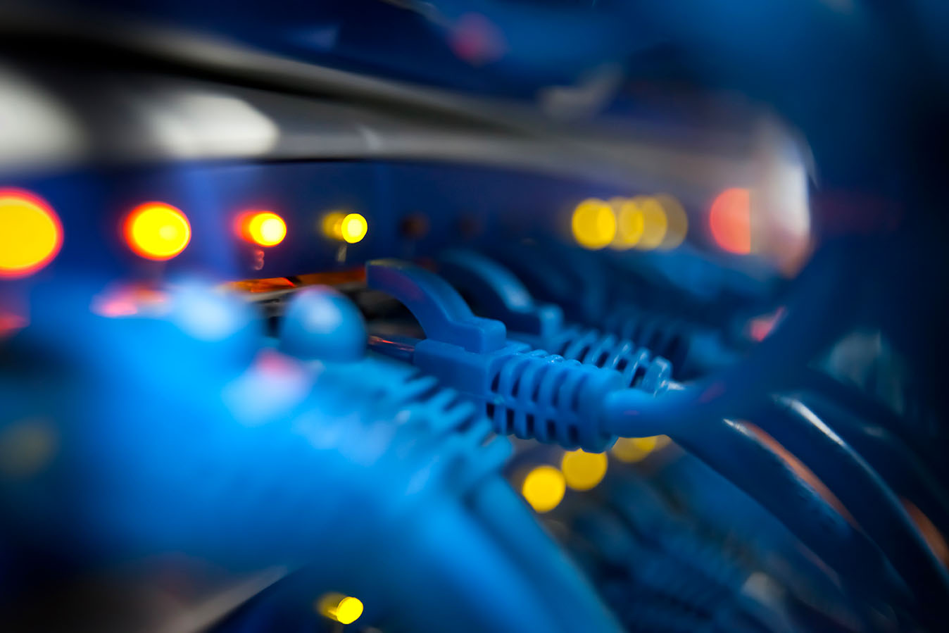 Câbles ethernet bleus en gros plan branchés sur un serveur