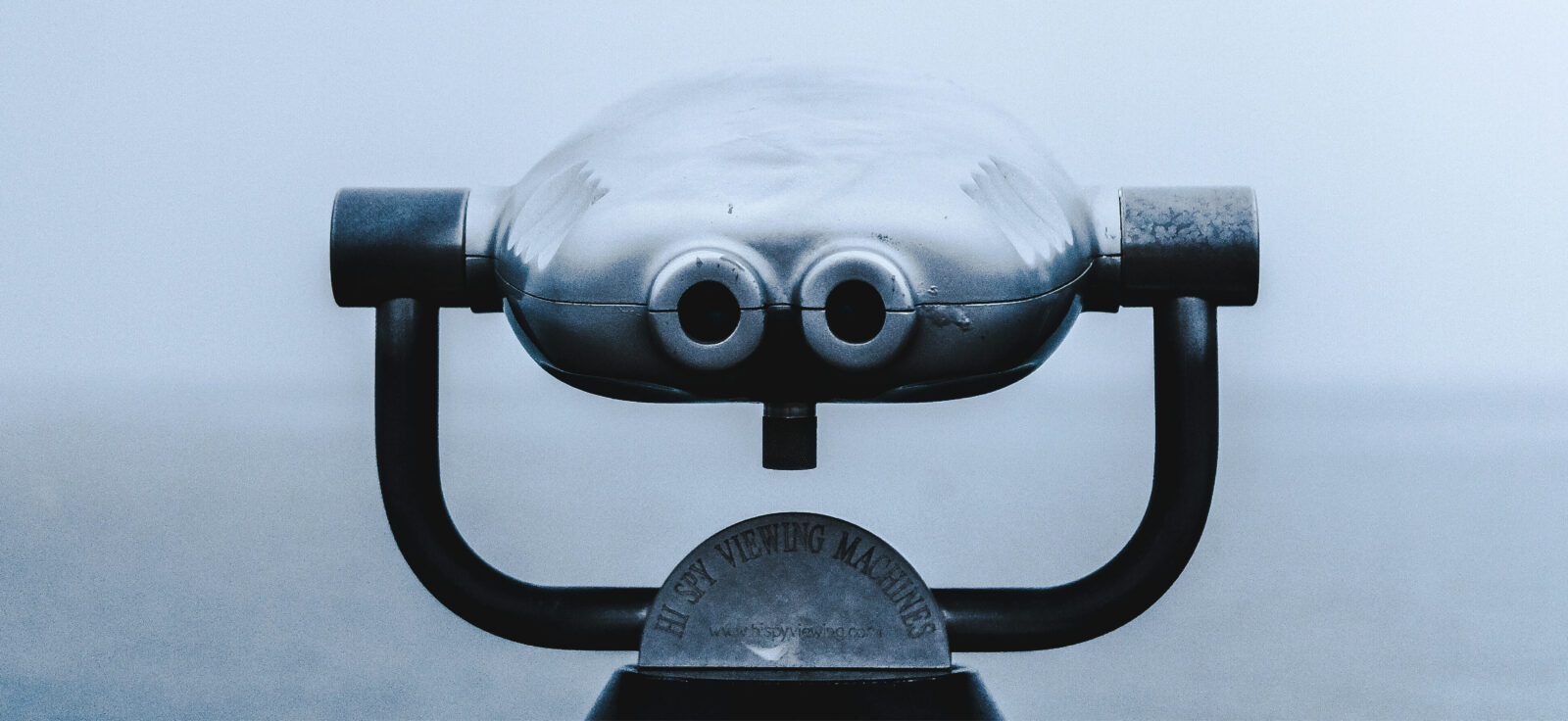 Jumelles au bord d'une mer embrumée