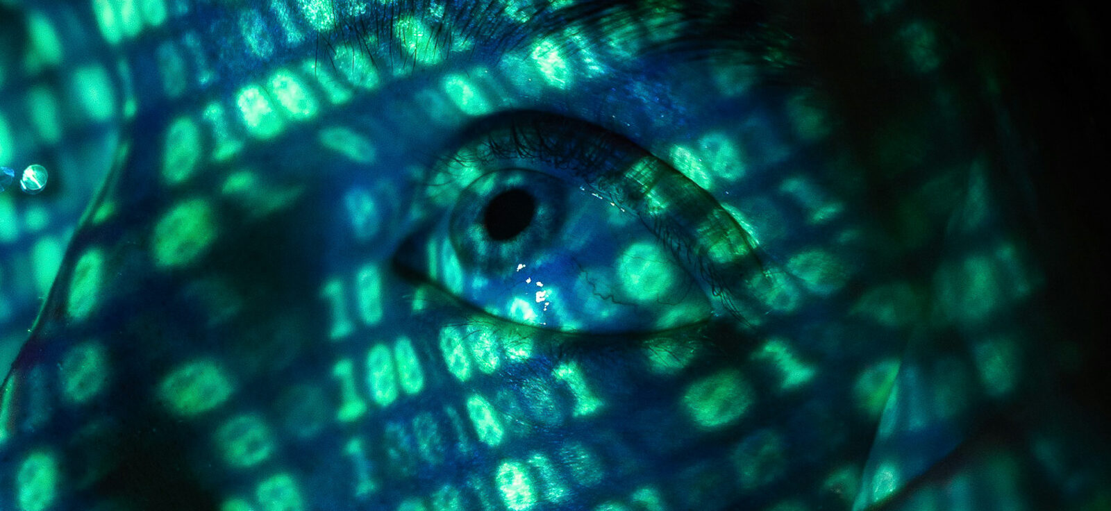 Données informatiques sur le visage d'une personne