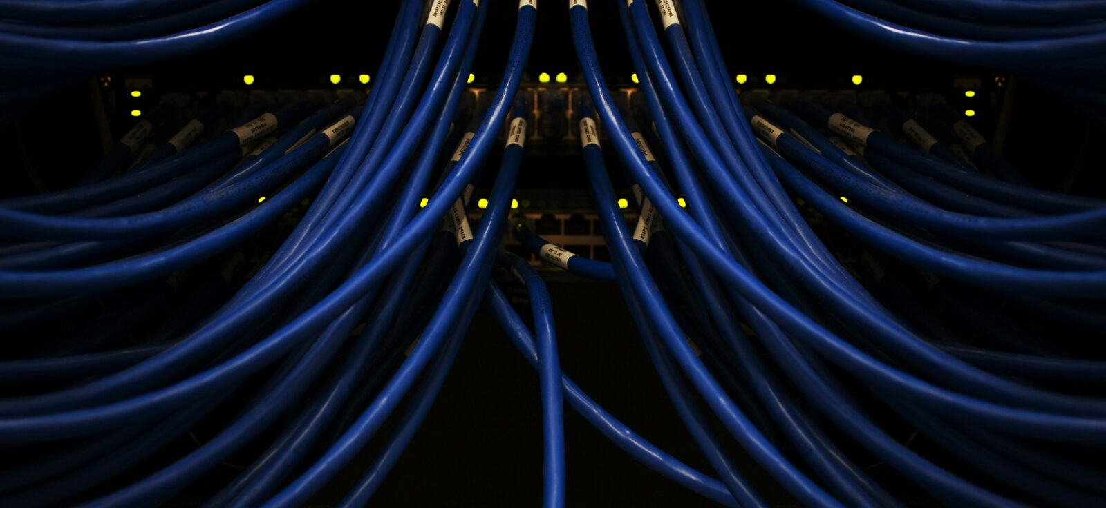 Baie réseau avec des câbles bleus